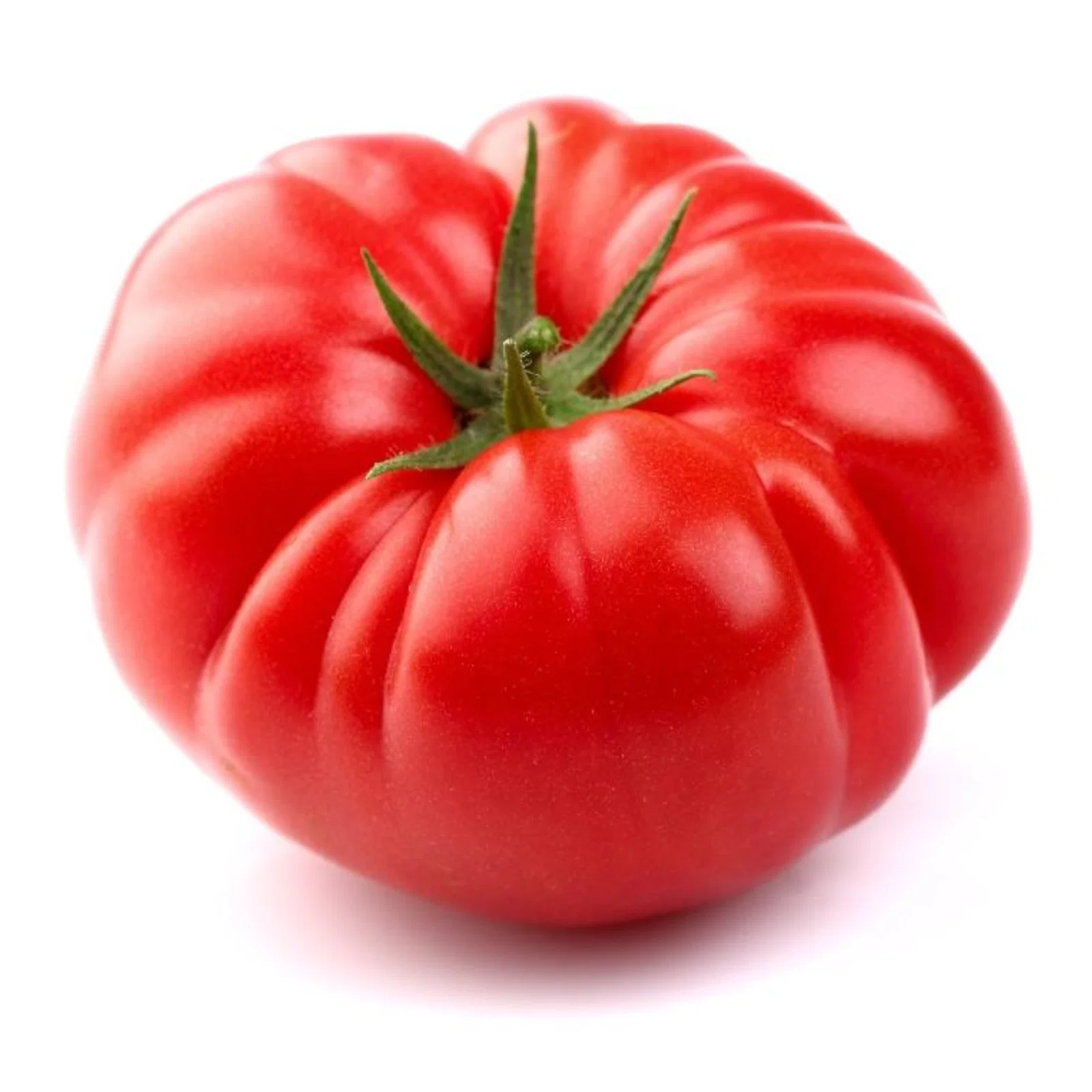 pomodori-finagricola